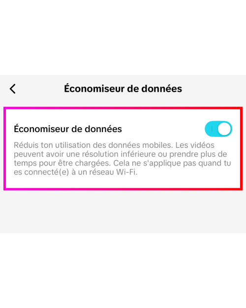 image des réglages pour économiser des données sur Tiktok